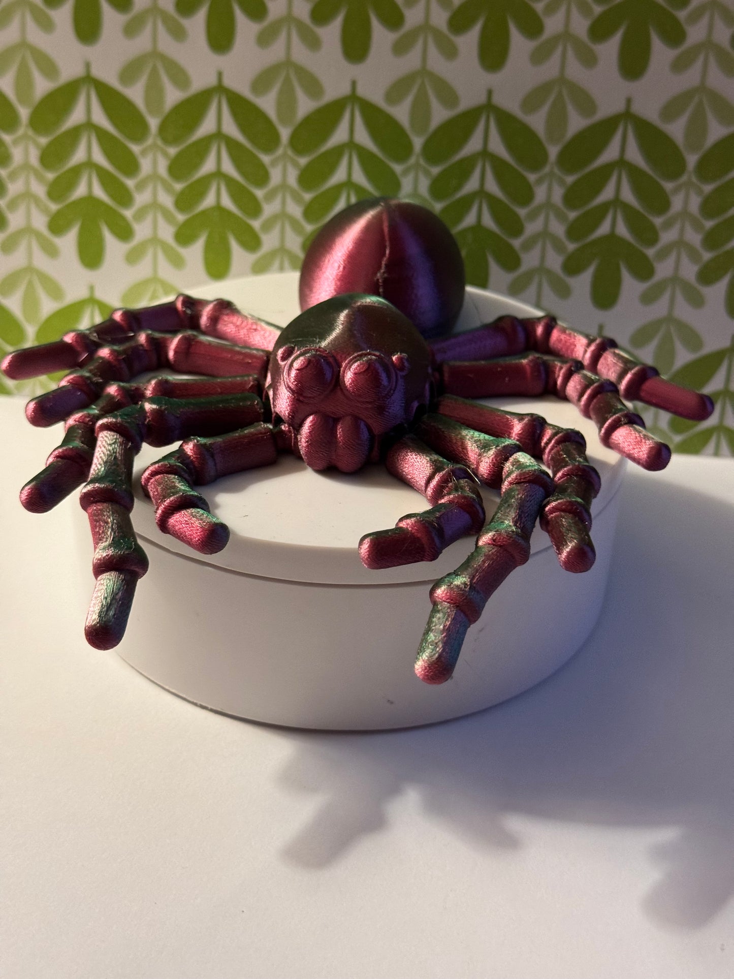 Rexi the Flexi Spider