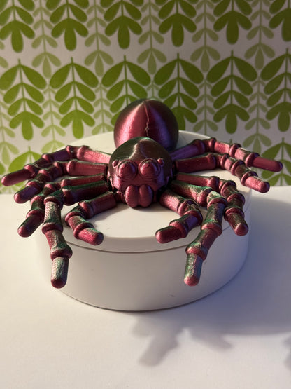 Rexi the Flexi Spider