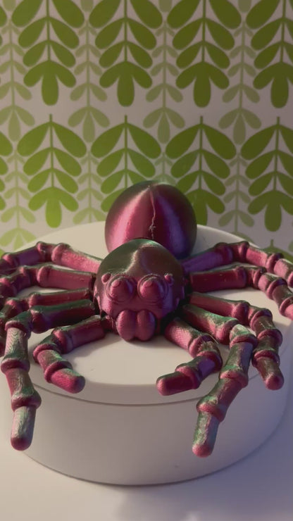 Rexi the Flexi Spider